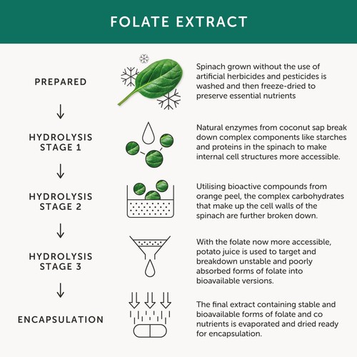 Together Health Folate, Natural Folic Acid 400 mcg