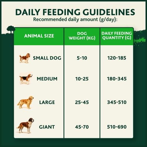 Winalot Adult Salmon Dry Dog Food