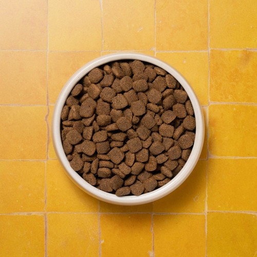 Pooch & Mutt Adult Complete Grain Free Superfood