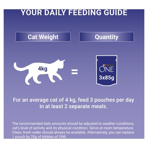 Purina One Senior 7+ Mini Fillets Mixed Selection Wet Cat Food