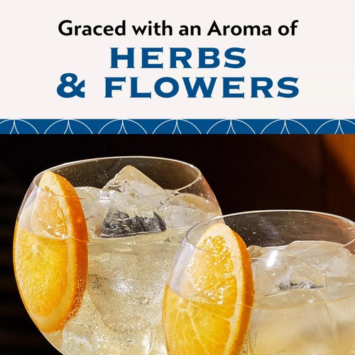 Martini Floreale Non Alcoholic Vermouth Aperitivo