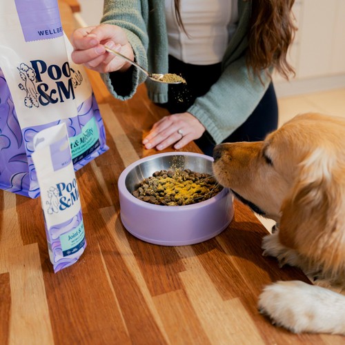 Pooch & Mutt Mobile Bones Joint and Bone Supplement for Dogs