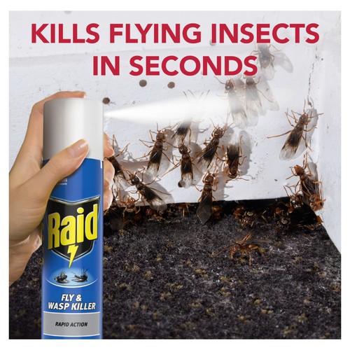 Raid Rapid Action Fly & Wasp Killer