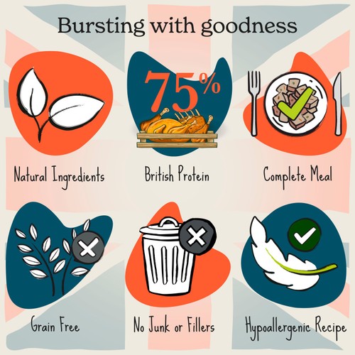 Forthglade British Classics Natural Wet Dog Food Chicken Family Lunch