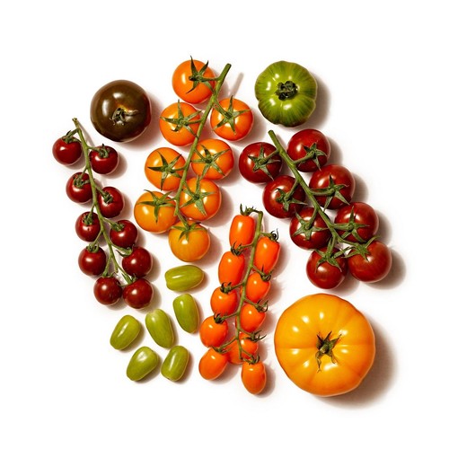 Isle of Wight Ultimate Tomato Pack