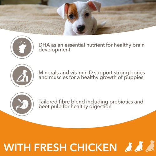 IAMS Advanced Nutrition Puppy Food Small/Medium Breed with Fresh Chicken