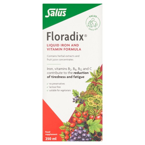Floradix Liquid Iron & Vitamin Formula 