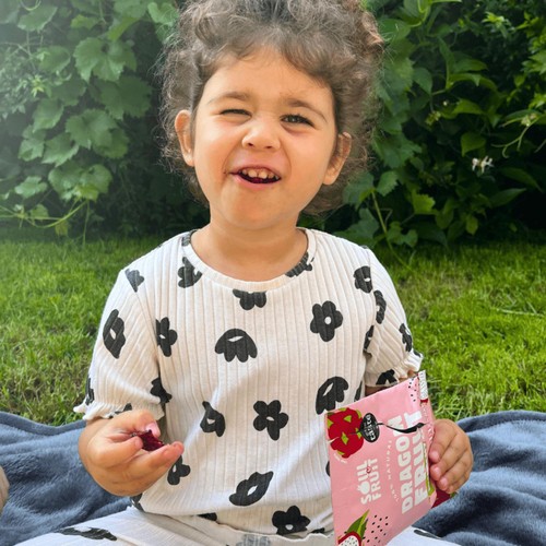Soul Fruit Freeze Dried Dragon Fruit Crisps