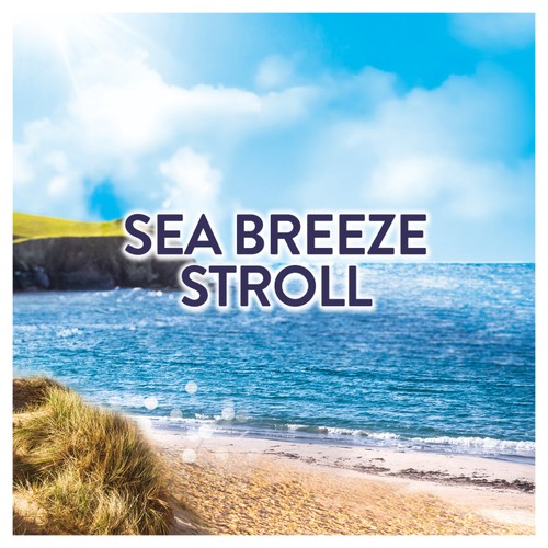 Lenor Scent Booster Beads Seabreeze Stroll