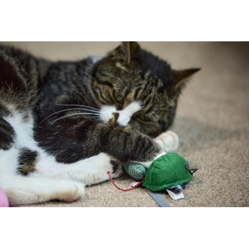 Catkins Three Kind Mice Plush Cat Toys