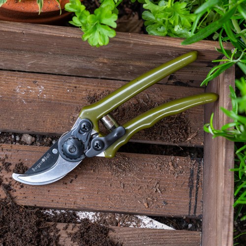 Burgon & Ball Collectors Olive Micro Secateurs