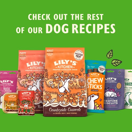 Lily's Kitchen Woofbrush Gut Health Medium Dog Multipack