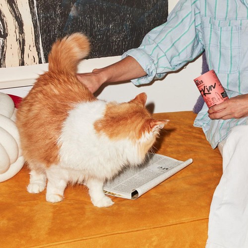 KatKin Salmon Nibbles Cat Treats