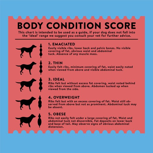 Wagg Meaty Goodness Dry Dog Food Beef