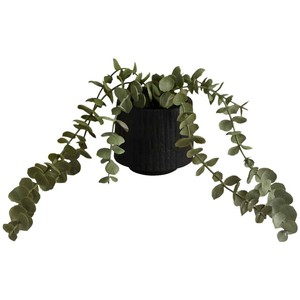 Moss & Sweetpea Artificial Trailing Baby Plant in Ceramic Pot, Black