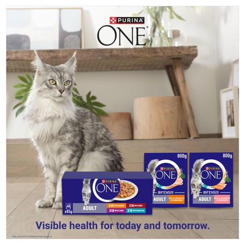 Purina One Mini Fillets Mixed Selection in Gravy Wet Cat Food 