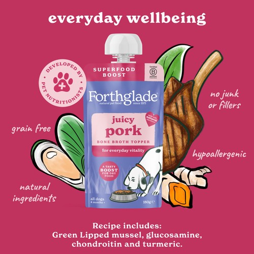Forthglade Bone Broth Topper for Dogs, Juicy Pork