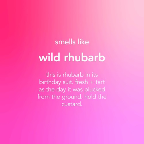 Method Rhubarb All Purpose Floor Cleaner