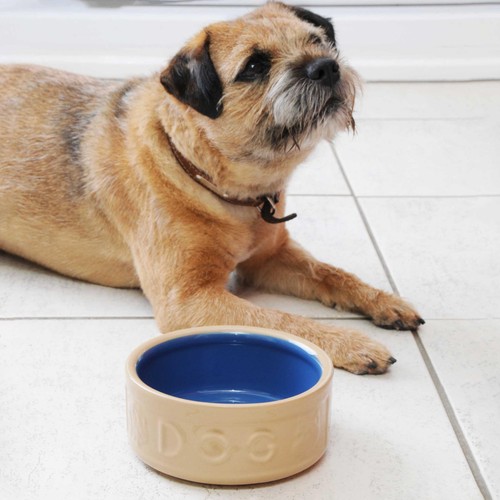 Mason Cash Lettered Cane & Blue Dog Bowl 18cm