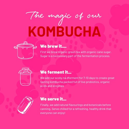 One Living Raspberry Kombucha Multipack