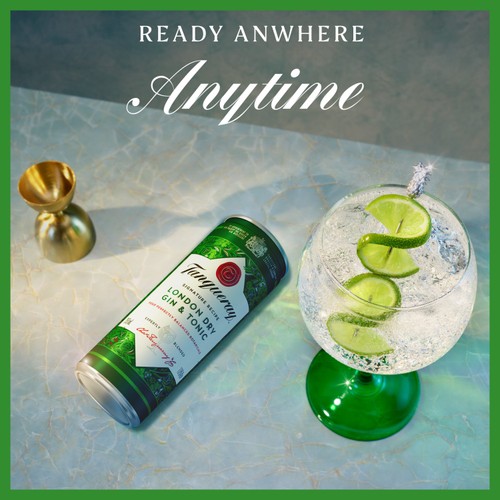 Tanqueray London Dry Gin & Tonic Ready to Drink Can