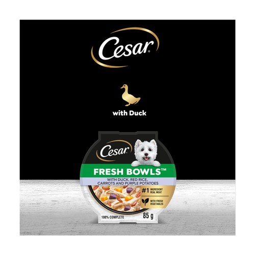 Cesar Fresh Bowl Adult Wet Dog Food with Duck in Gravy 85g