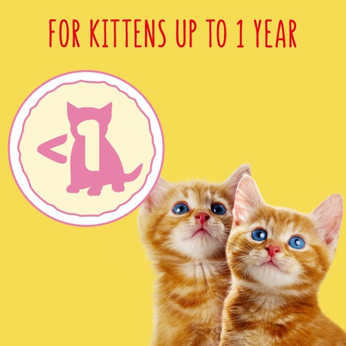 Go-Cat Kitten Chicken Turkey and Milk Dry Cat Food