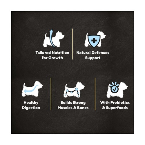 Cesar Complete Dry Puppy Food with Chicken, Rice and Vegetables 1.4kg