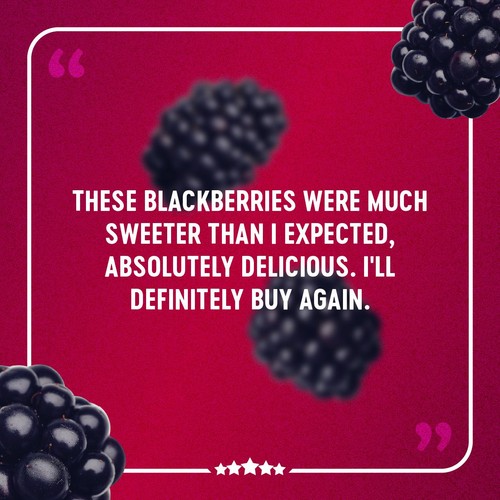 BerryWorld Blackberries