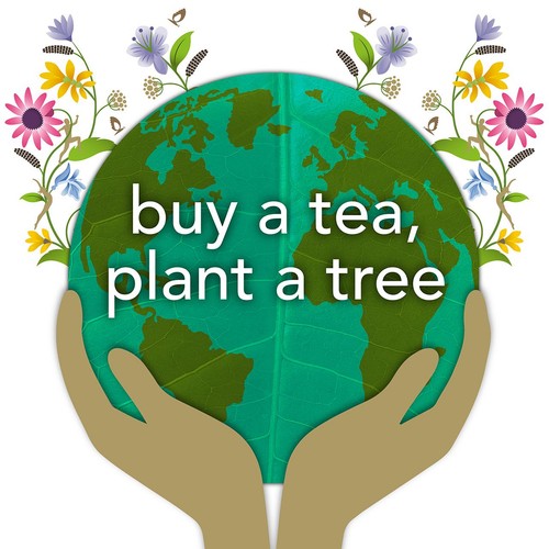 Pukka Organic Elderberry & Echinacea Fruit Tea x20 Compostable Tea Bags