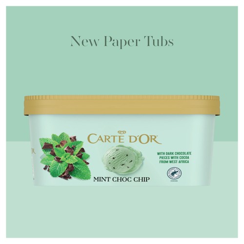 Carte D'Or Refreshing Mint Choc Chip Ice Cream Tub