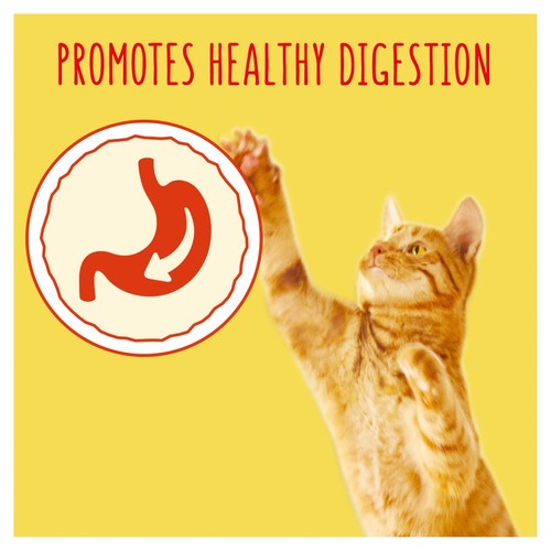 Go-Cat Chicken and Turkey Dry Cat Food