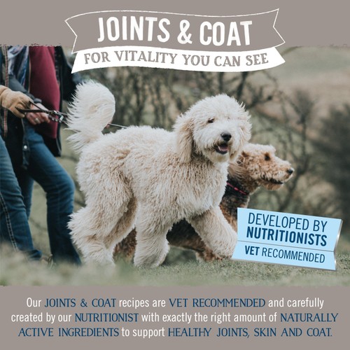 Butcher's Joints & Coat Dog Food Trays