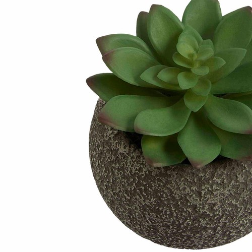 M&S Moss & Sweetpea Artificial Mini Succulent Pot, One Size, Green