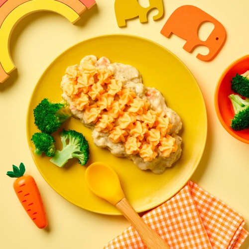 Little Dish Chicken & Veg Pie