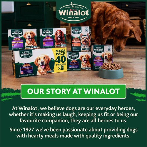 Winalot Meaty Chunks Mixed in Jelly Wet Dog Food