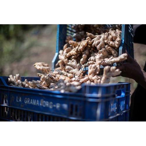 Wholegood Organic Ginger