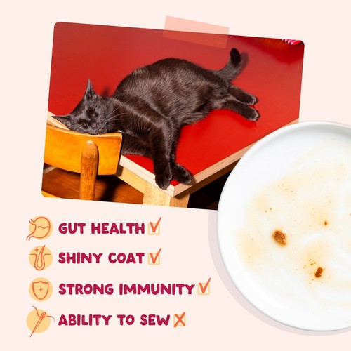 Edgard & Cooper Fresh Chicken Chunks in Sauce Pouch for Adult Cats