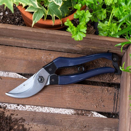 Burgon & Ball Collectors Navy Bypass Secateurs
