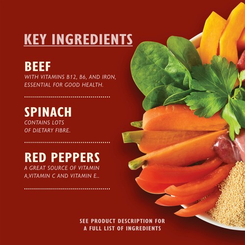 Lily's Kitchen Beef Goulash Tray for Dogs