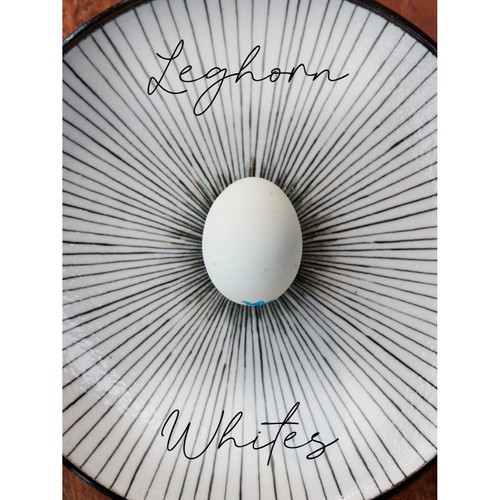 Clarence Court Leghorn Whites 6 Free Range Mixed Sized Eggs
