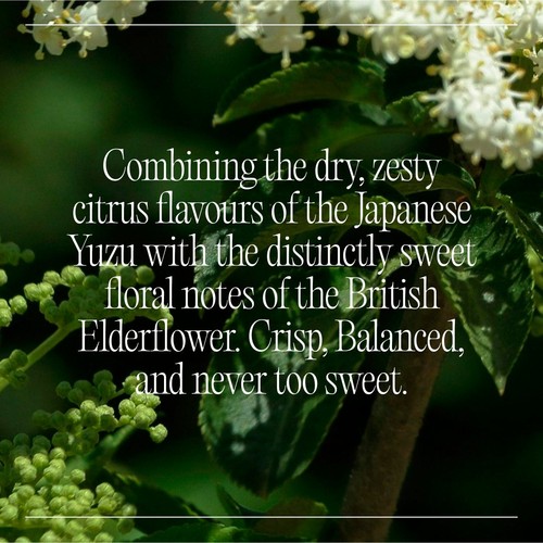 Goodrays CBD Drinks - Elderflower & Yuzu