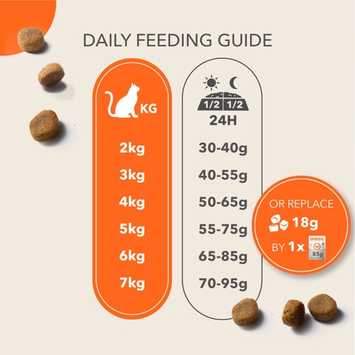 IAMS Senior Dry Cat Food Tuna