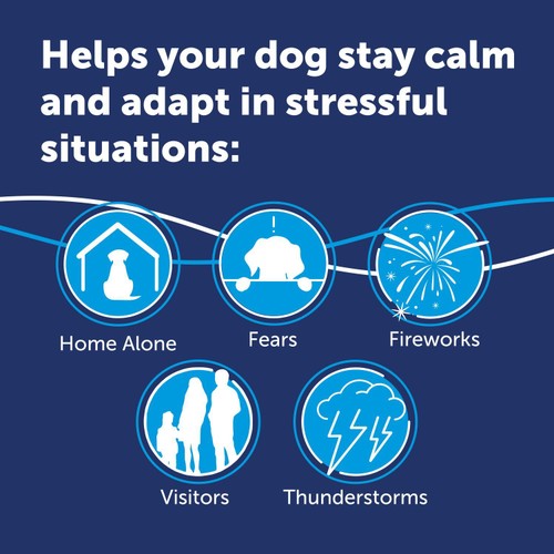 Adaptil Dog Calming Diffuser Starter Kit