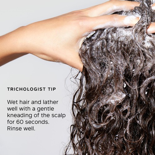 Philip Kingsley Re-Moisturizing Smoothing Shampoo