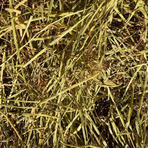 HayDay Sweet & Munchy Ryegrass Hay