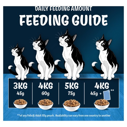 Felix Doubly Delicious Salmon & Vegetables Dry Cat Food