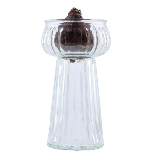 M&S Hyacinth Bulb Vase