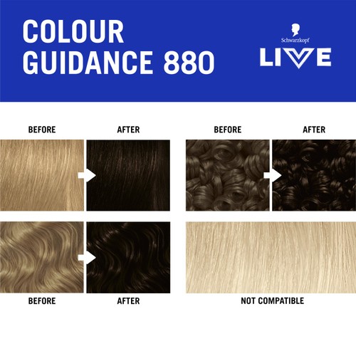 LIVE Intense Colour 880 Tempting Chocolate