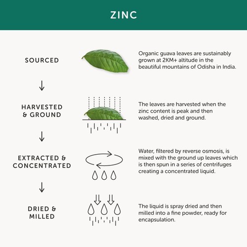 Together Health Organic Zinc, Natural Source